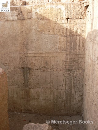 Tomb of Sheshonq III-013