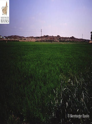 Buto-001