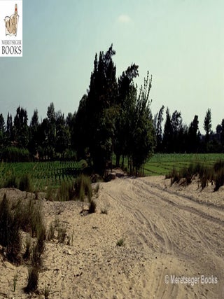 Terenuthis-004