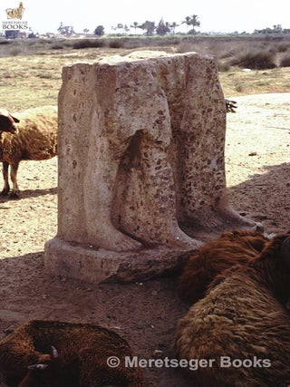 Kom el-Hisn-002