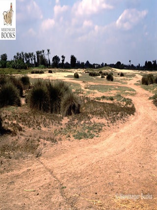 Kom el-Hisn-004