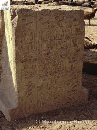 Kom el-Hisn-005