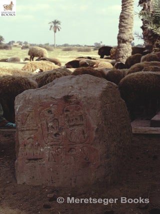 Kom el-Hisn-010