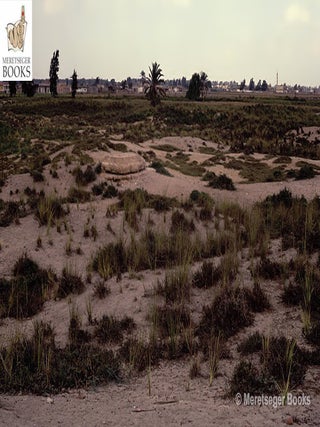 Kom el-Hisn-012
