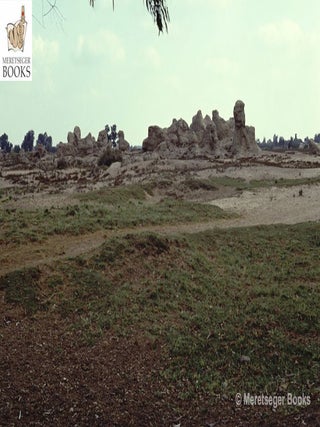 Kom el-Hisn-015