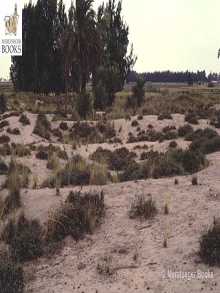 Kom el-Hisn-016