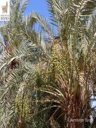 Siwa-017