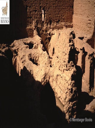Mustafa Kashef-003