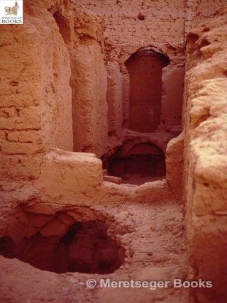 Mustafa Kashef-004