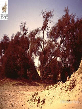 Ain Umm ed-Dabadib-016