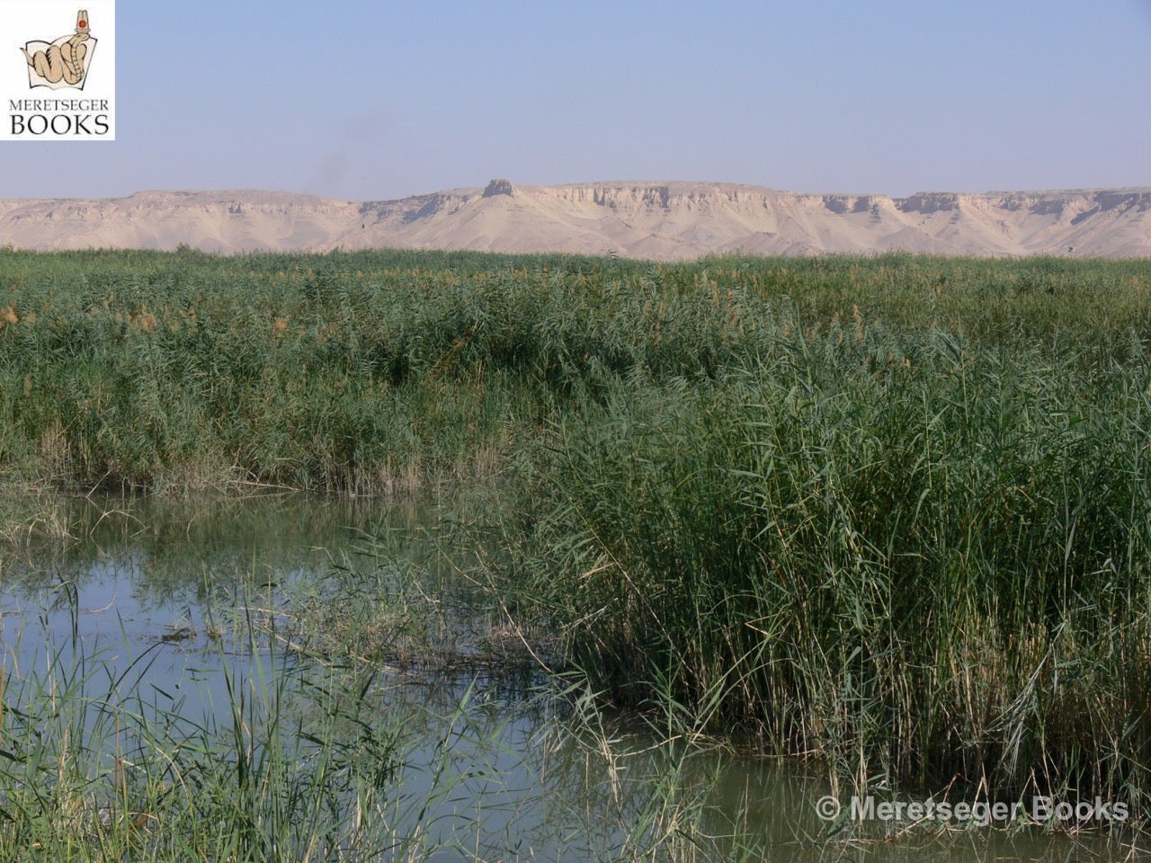 Farafra Oasis