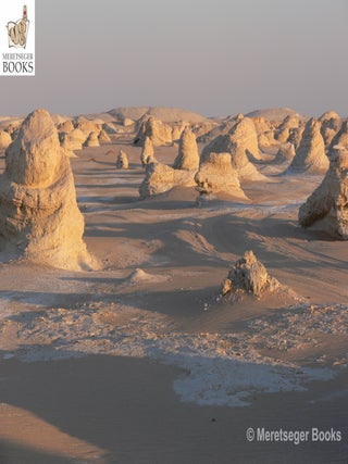 White desert-034