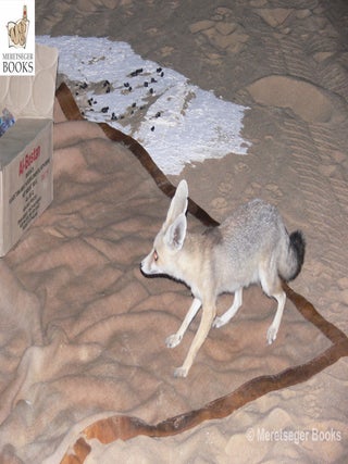 White desert-061