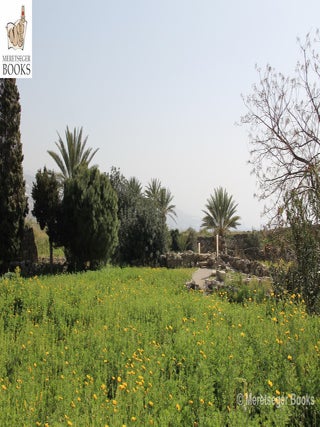 Byblos-Temple of the obelisks-002
