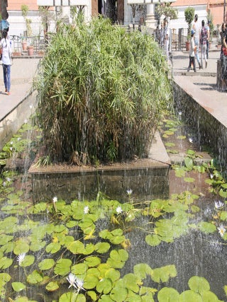 Cairo Museum-004