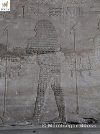 Temple of Sahure in Abusir-006