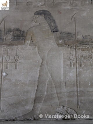 Temple of Sahure in Abusir-008