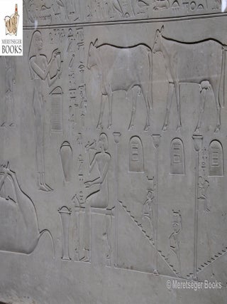 Sarcophagus of Aashit-005