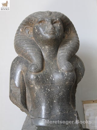 Statue of Nofret queen of Sesostris II-002