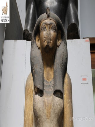 Queen Mutnofret mother ot Thutmes II-003