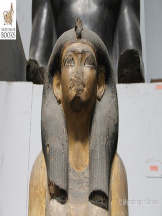 Queen Mutnofret mother ot Thutmes II-004