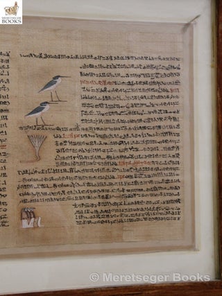 Papyri-001