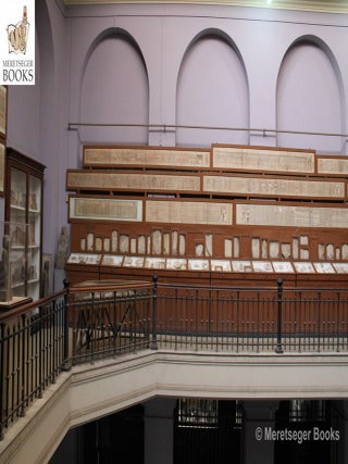 Papyri-002