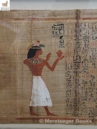 Papyri-007