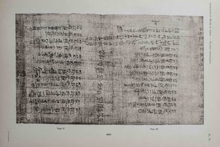 Papyrus hiératiques - Tome I (Catalogue Général du Musée du Caire)