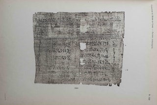 Papyrus hiératiques - Tome I (Catalogue Général du Musée du Caire)