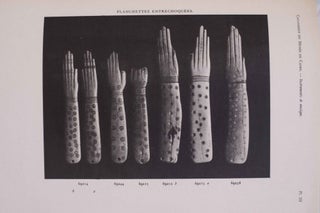 Item #C0102 Instruments de musique (Catalogue Général du Musée du Caire). HICKMANN Hans[newline]C0102.jpg