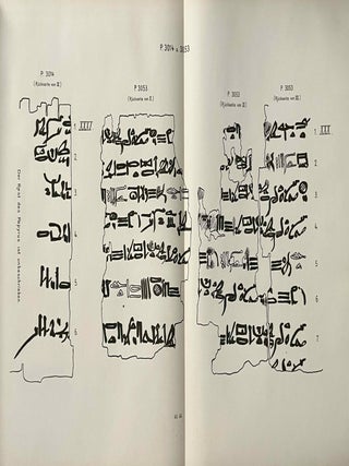 Hieratische Papyrus aus den K&ouml;niglichen Museen zu Berlin. Band I: Rituale f&uuml;r den Kultus des Amon und f&uuml;r den Kultus der Mut. Band II: Hymnen an verschiedene G&ouml;tter. Zusatzkapitel zum Totenbuch. Band III: Schriftst&uuml;cke der VI. dynastie aus Elephantine. Zauberspr&uuml;che f&uuml;r Mutter und Kind. Ostraka. Band IV: Literarische Texte des Mittleren Reiches. I: Die Klagen des Bauern. Band V: Literarische Texte des Mittleren Reiches. II: Die Erz&auml;hlung des Sinuhe und die Hirtengeschichte (complete set)[newline]M0003b-07.jpeg