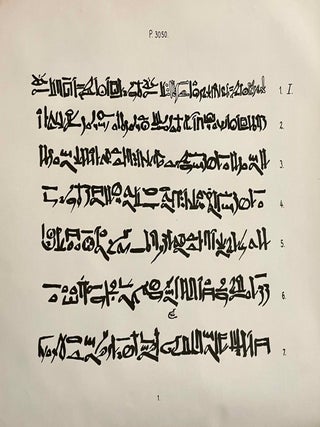 Hieratische Papyrus aus den K&ouml;niglichen Museen zu Berlin. Band I: Rituale f&uuml;r den Kultus des Amon und f&uuml;r den Kultus der Mut. Band II: Hymnen an verschiedene G&ouml;tter. Zusatzkapitel zum Totenbuch. Band III: Schriftst&uuml;cke der VI. dynastie aus Elephantine. Zauberspr&uuml;che f&uuml;r Mutter und Kind. Ostraka. Band IV: Literarische Texte des Mittleren Reiches. I: Die Klagen des Bauern. Band V: Literarische Texte des Mittleren Reiches. II: Die Erz&auml;hlung des Sinuhe und die Hirtengeschichte (complete set)[newline]M0003b-12.jpeg