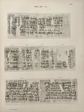 Hieratische Papyrus aus den K&ouml;niglichen Museen zu Berlin. Band I: Rituale f&uuml;r den Kultus des Amon und f&uuml;r den Kultus der Mut. Band II: Hymnen an verschiedene G&ouml;tter. Zusatzkapitel zum Totenbuch. Band III: Schriftst&uuml;cke der VI. dynastie aus Elephantine. Zauberspr&uuml;che f&uuml;r Mutter und Kind. Ostraka. Band IV: Literarische Texte des Mittleren Reiches. I: Die Klagen des Bauern. Band V: Literarische Texte des Mittleren Reiches. II: Die Erz&auml;hlung des Sinuhe und die Hirtengeschichte (complete set)[newline]M0003b-27.jpeg