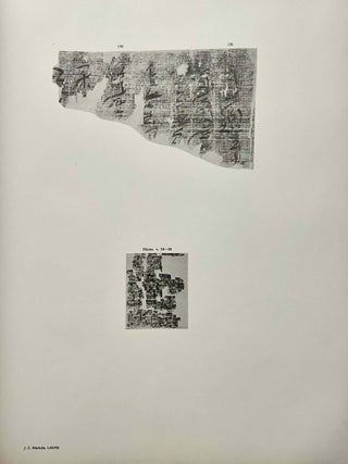 Hieratische Papyrus aus den K&ouml;niglichen Museen zu Berlin. Band I: Rituale f&uuml;r den Kultus des Amon und f&uuml;r den Kultus der Mut. Band II: Hymnen an verschiedene G&ouml;tter. Zusatzkapitel zum Totenbuch. Band III: Schriftst&uuml;cke der VI. dynastie aus Elephantine. Zauberspr&uuml;che f&uuml;r Mutter und Kind. Ostraka. Band IV: Literarische Texte des Mittleren Reiches. I: Die Klagen des Bauern. Band V: Literarische Texte des Mittleren Reiches. II: Die Erz&auml;hlung des Sinuhe und die Hirtengeschichte (complete set)[newline]M0003b-28.jpeg