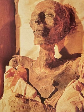 Les chefs-d'oeuvre du Mus&eacute;e Egyptien du Caire[newline]M0042-08.jpeg