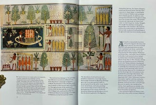 Egyptian wall paintings: the Metropolitan Museum's collection of facsimiles[newline]M0049b-05.jpeg