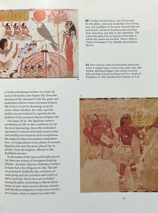 Egyptian wall paintings: the Metropolitan Museum's collection of facsimiles[newline]M0049b-07.jpeg
