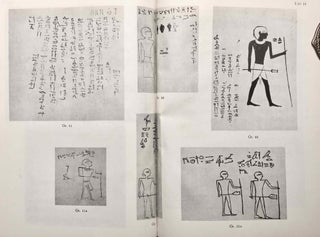 Die Felseninschriften von Hatnub. Nach den Aufnahmen Georg Möllers herausgegeben und bearbeitet.