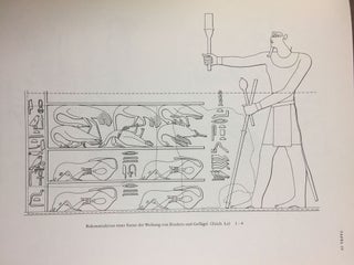 Der Tempel des Königs Mentuhotep von Deir el-Bahari. Band I: Architektur und Deutung. Band II: Die Wandreliefs des Sanktuars. Band III: Die königlichen Beigaben (complete set)[newline]M0087d-19.jpg