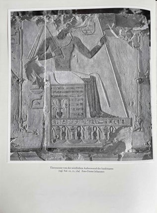 Der Tempel des Königs Mentuhotep von Deir el-Bahari. Band I: Architektur und Deutung. Band II: Die Wandreliefs des Sanktuars. Band III: Die königlichen Beigaben (complete set)[newline]M0087f-15.jpeg