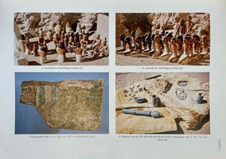 Der Tempel des Königs Mentuhotep von Deir el-Bahari. Band III: Die königlichen Beigaben.[newline]M0087i-05.jpeg