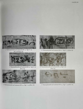 Der Tempel des Königs Mentuhotep von Deir el-Bahari. Band III: Die königlichen Beigaben.[newline]M0087i-09.jpeg