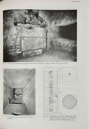 The south cemeteries of Lisht. Vol. I: the pyramid of Senwosret I. Vol. II: The control notes and team marks. Vol. III: the pyramid complex of Senwosret I (complete set)[newline]M0092-30.jpeg