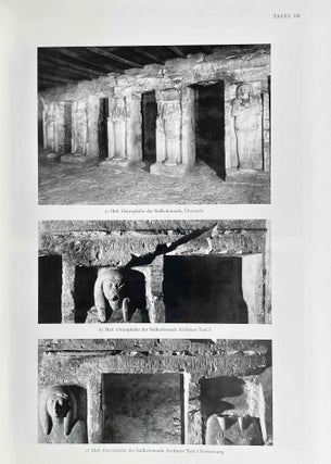 Das Grab des Amenemope TT 41. Text und Tafelband (complete set)