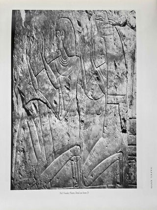 Das Grab des Amenemope TT 41. Text und Tafelband (complete set)[newline]M0094c-16.jpeg