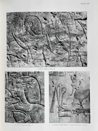 Das Grab des Amenemope TT 41. Text und Tafelband (complete set)[newline]M0094c-17.jpeg