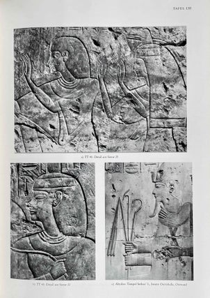 Das Grab des Amenemope TT 41. Text und Tafelband (complete set)