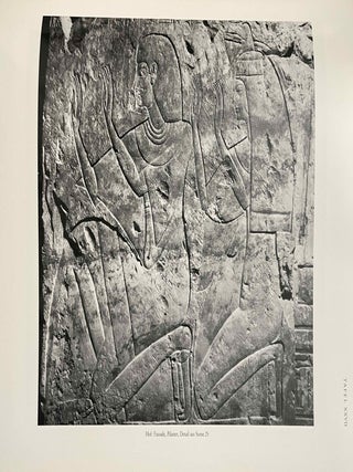 Das Grab des Amenemope TT 41. Text und Tafelband (complete set)[newline]M0094f-12.jpeg