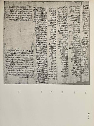 Le papyrus Louvre N.3176 (S)